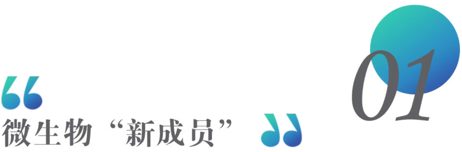1785209270371241.png 85945c485f4529060c3ef667b4387492.png