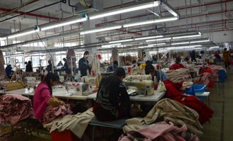 法蒂芙丨中国高端羊绒大衣品牌缔造者